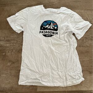 patagonia shirt